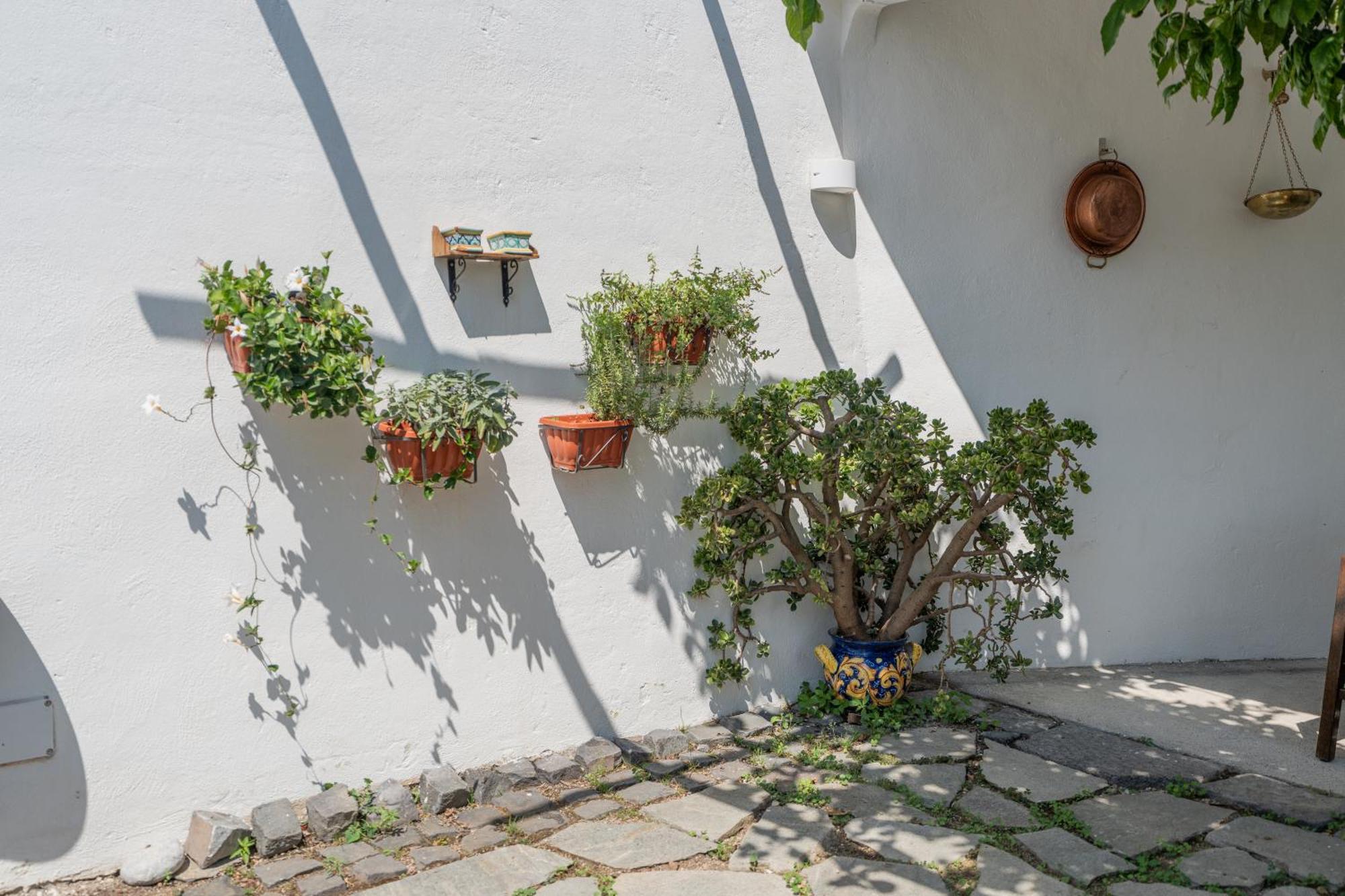 Residenza Sant'Angelo - Art Apartment 米诺利 外观 照片